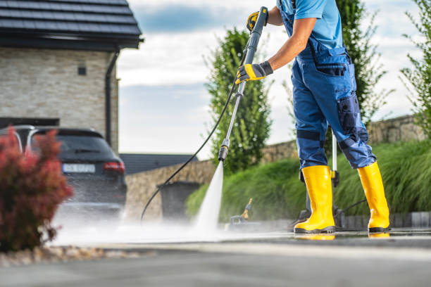Best Soft Washing for Delicate Surfaces in East Meadow, NY